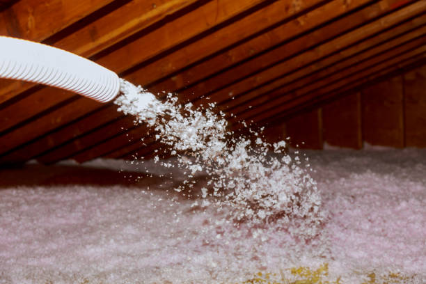 Best Local Insulation Services  in Homer, GA