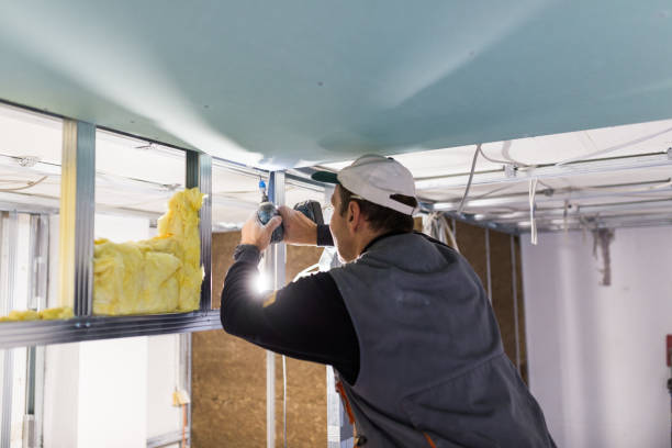 Best Insulation Replacement Services  in Homer, GA