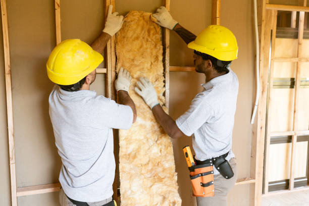 Best Wall Insulation Contractor  in Homer, GA