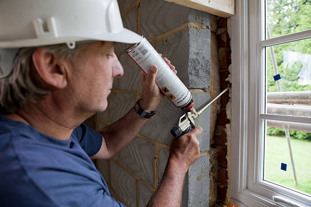Best Cellulose Insulation  in Homer, GA