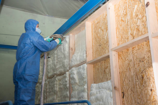 Best Insulation Removal Services  in Homer, GA