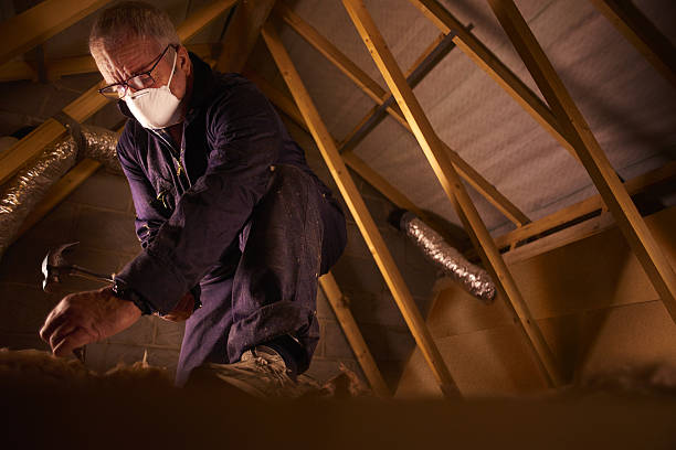 Insulation Repair Services in Homer, GA