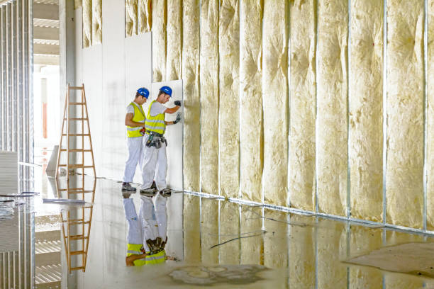 Best Home Insulation Services  in Homer, GA